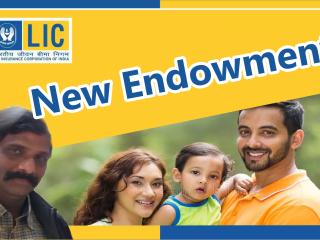 LIC New Endowment 714